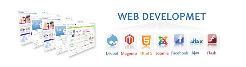 Website Development